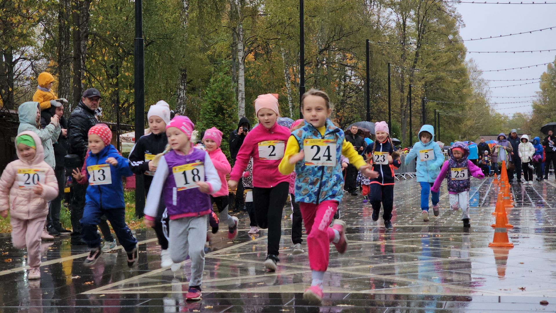 Ступино, парки подмосковья, осенний кросс,