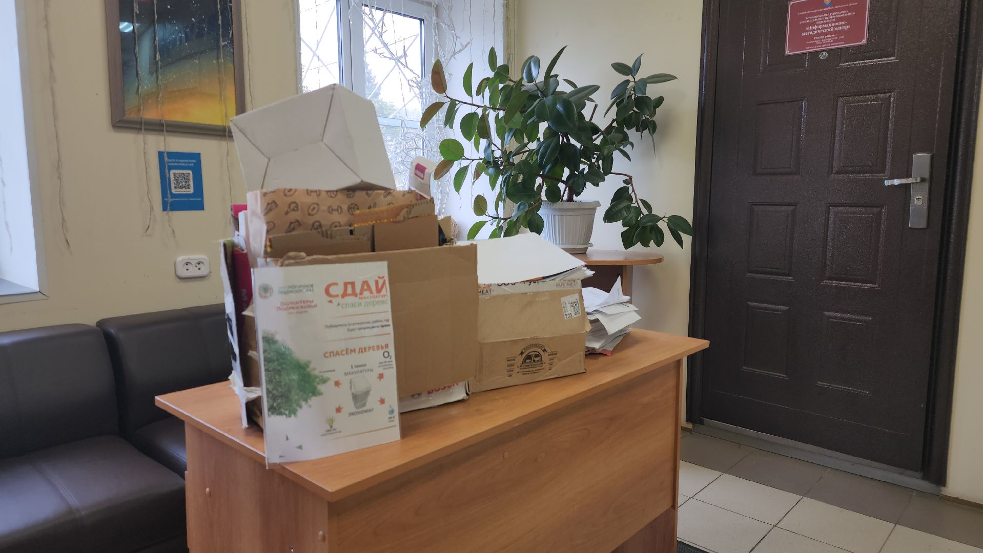 Павловский Посад, городской округ павловский посад, Люди, Деревья, Экология, Волонтры, Акция, Сбор,