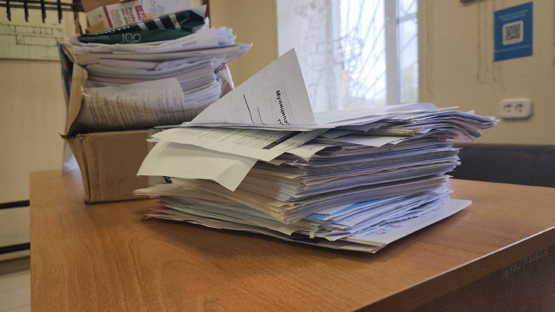 Павловский Посад, городской округ павловский посад, Люди, Деревья, Экология, Волонтры, Акция, Сбор,