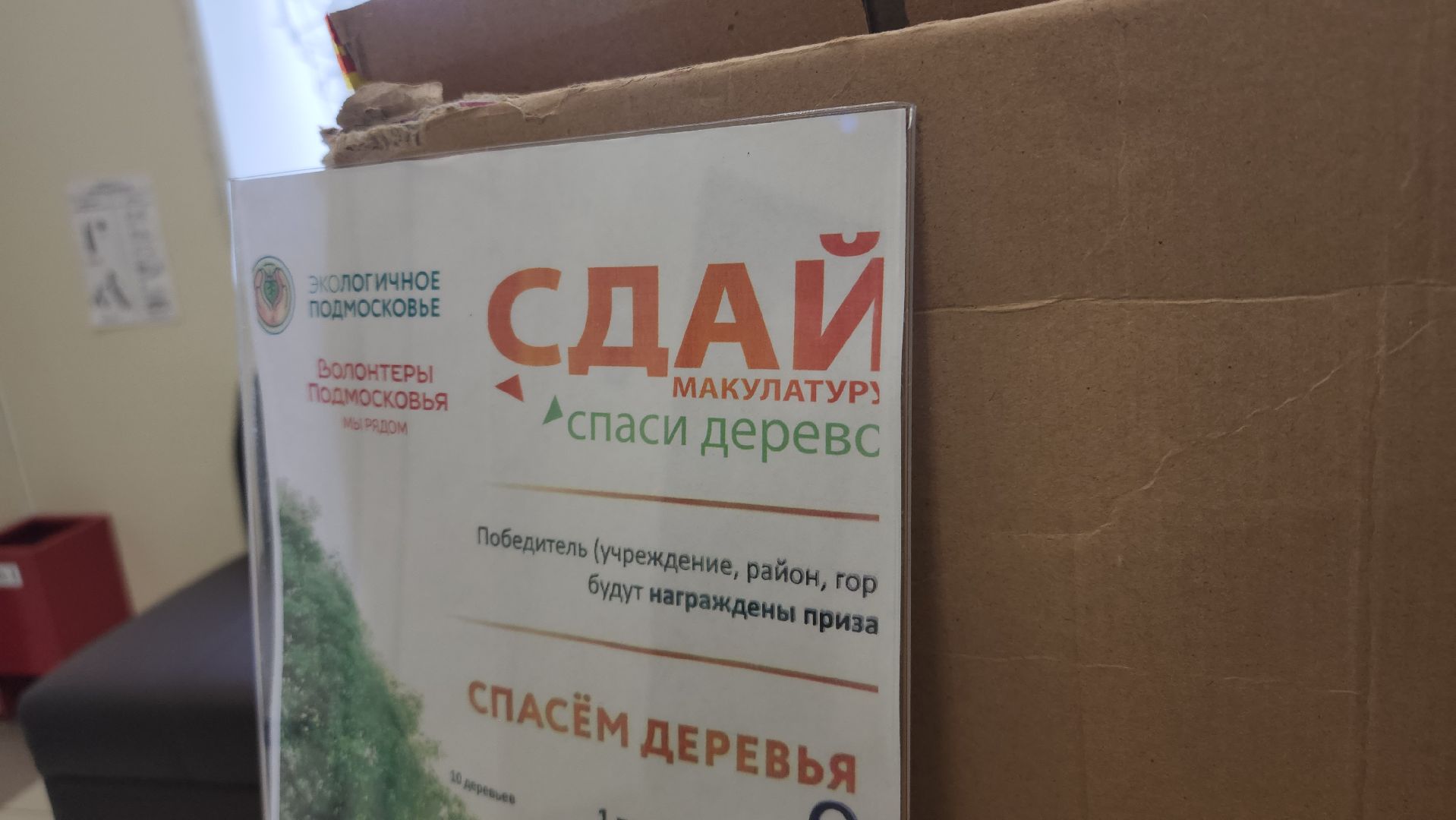 Павловский Посад, городской округ павловский посад, Люди, Деревья, Экология, Волонтры, Акция, Сбор,