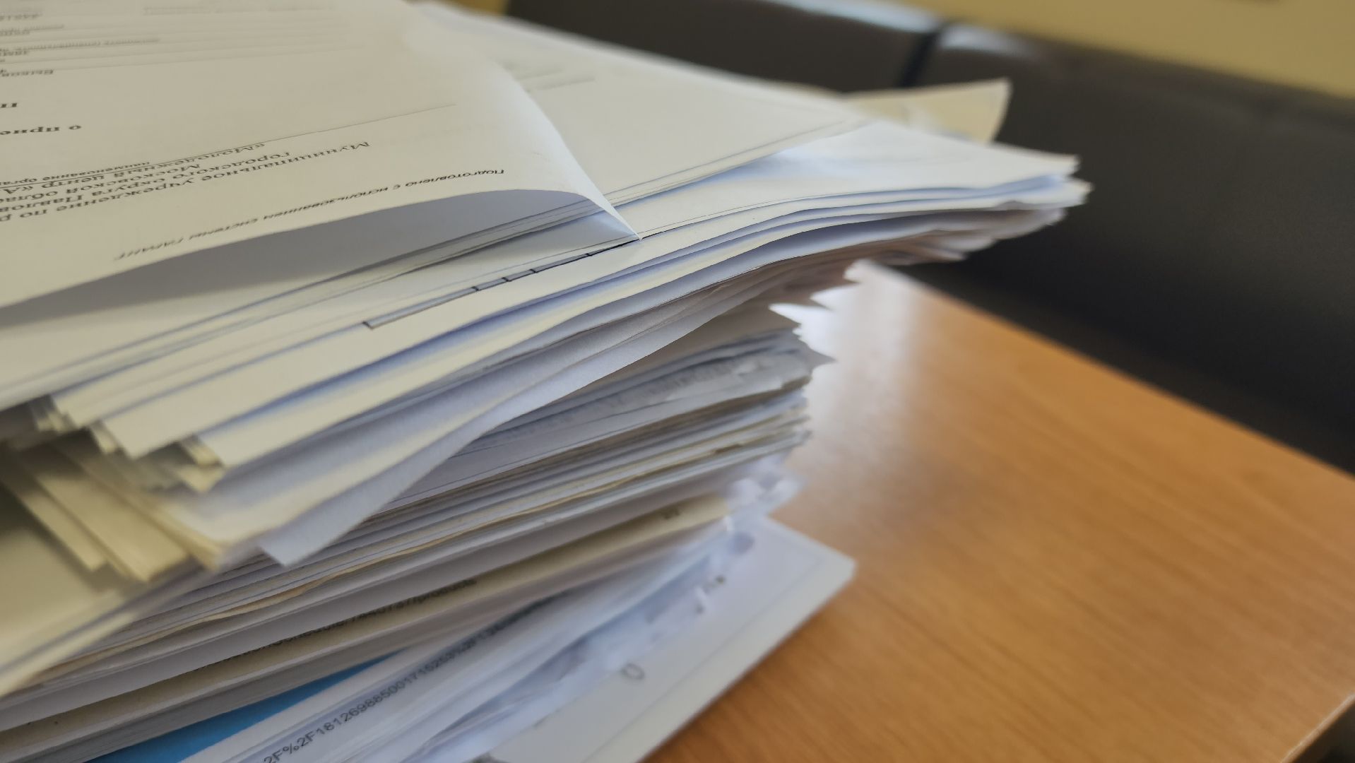 Павловский Посад, городской округ павловский посад, Люди, Деревья, Экология, Волонтры, Акция, Сбор,