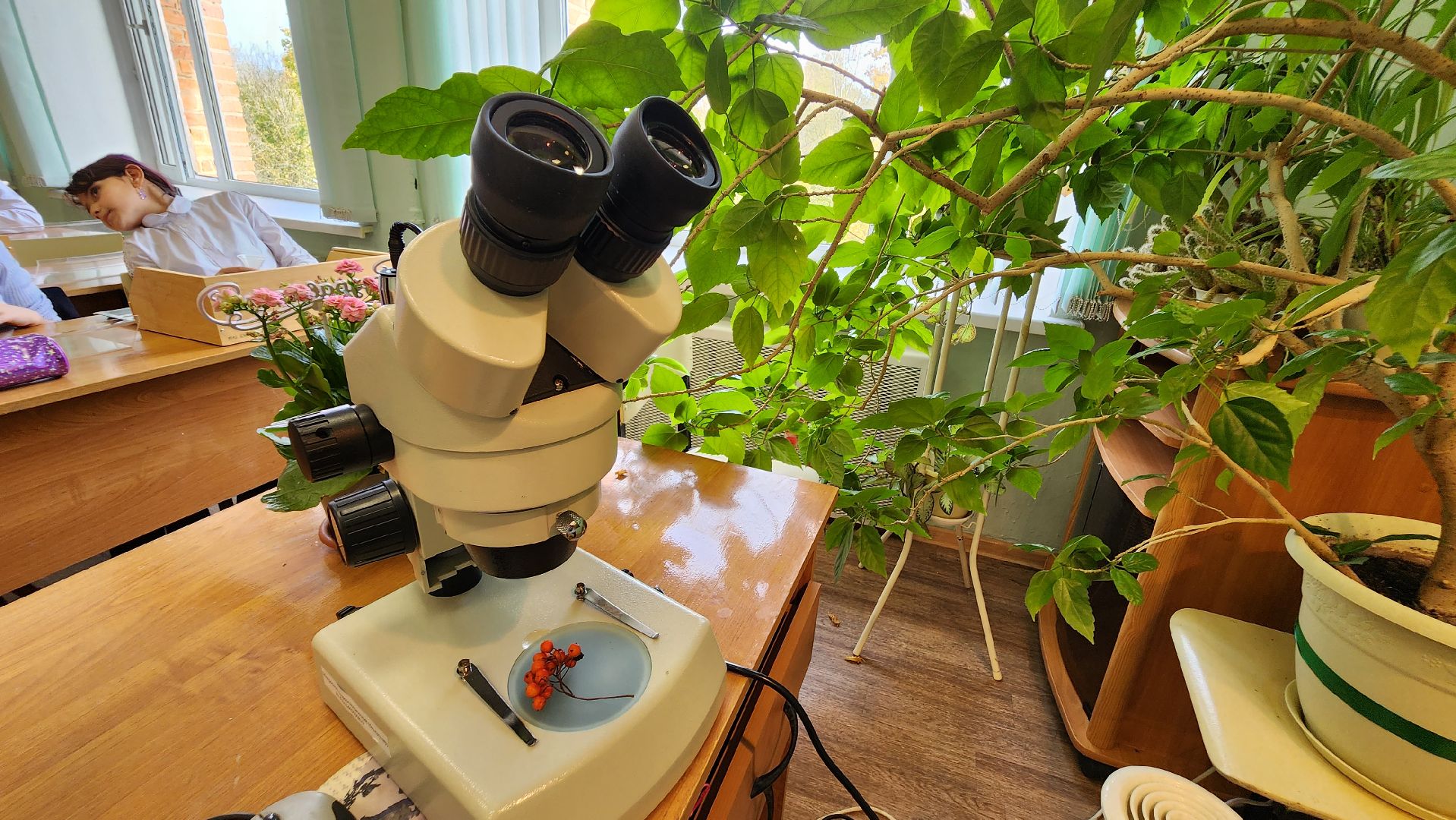 подольск, климовск, лицей,