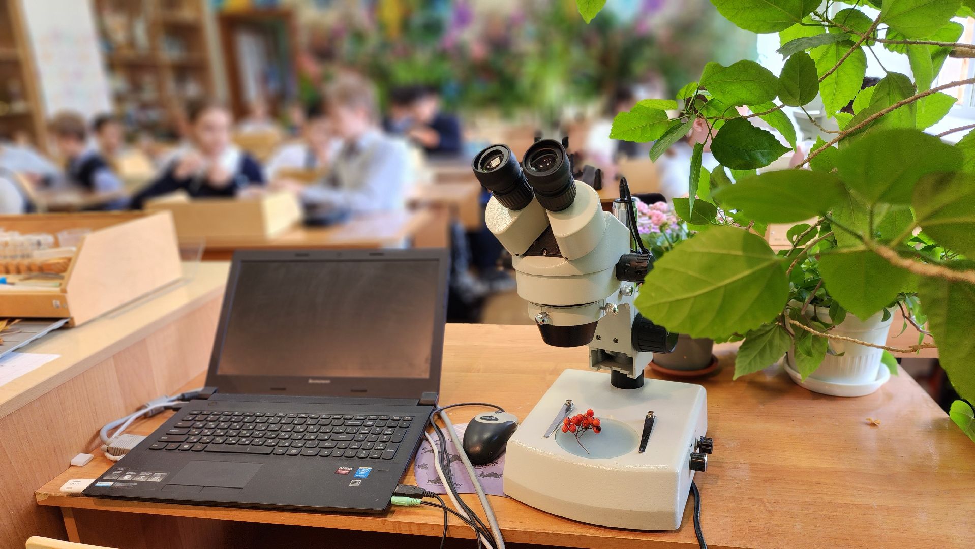 подольск, климовск, лицей,