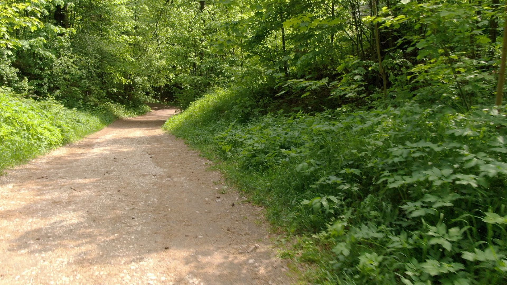 Звенигород, собор, археология,видео с коптера,