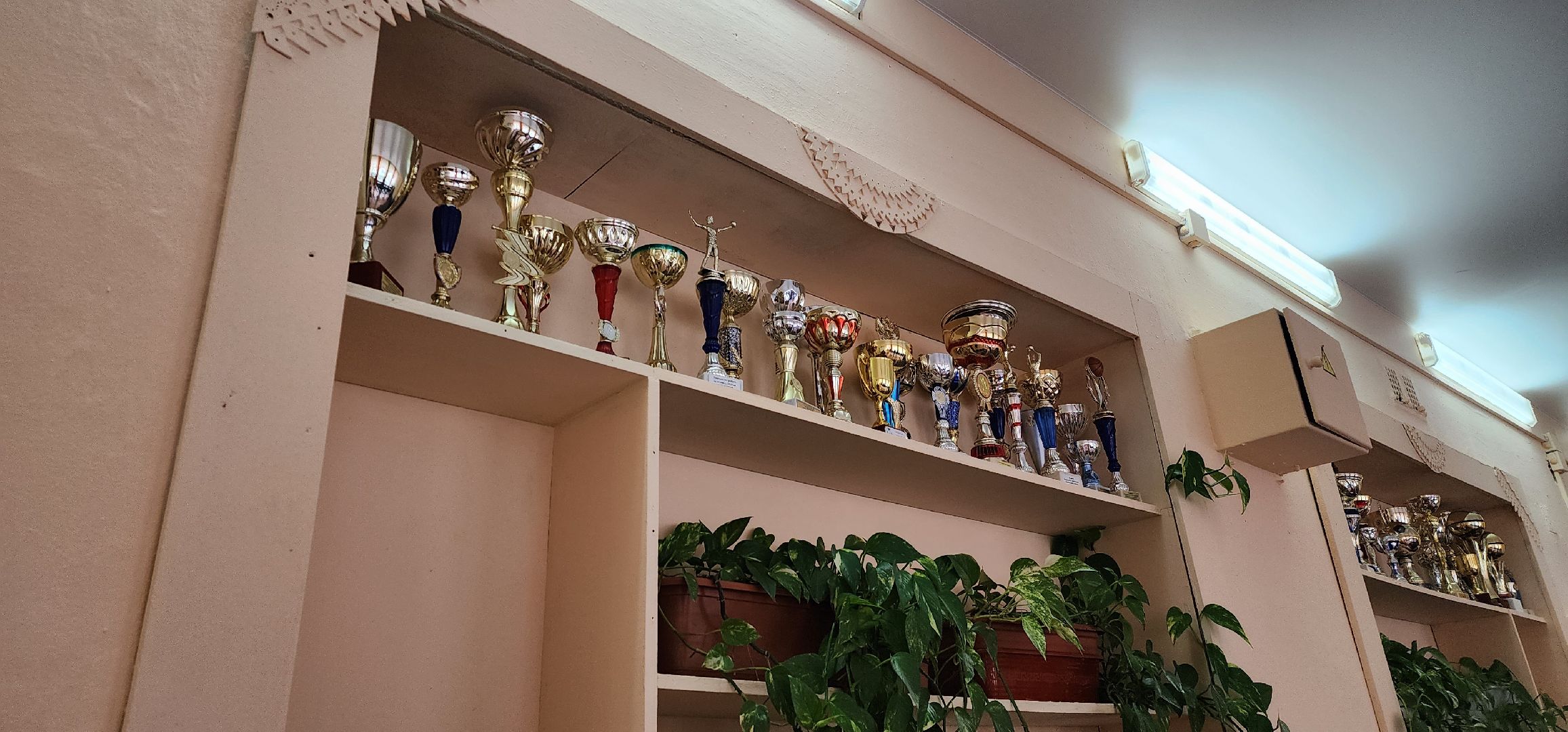 городской округ Пушкинский, Пушкино, Школы, ремонт школ, образование, дети, общество, капитальный ремонт,