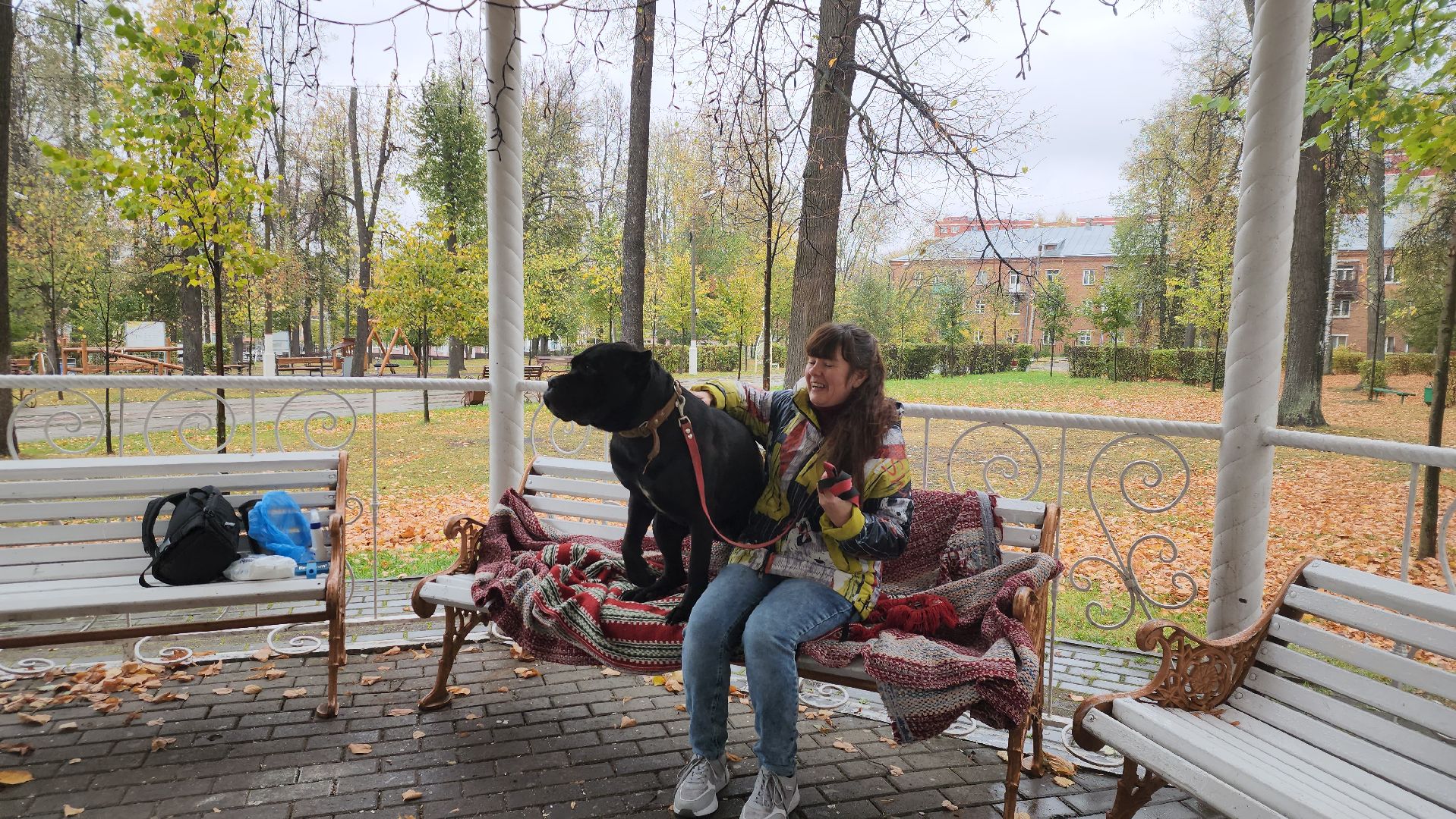 павловский посад, городской округ павловский посад, спецоперация, люди, собаки, приют, благотворительность,