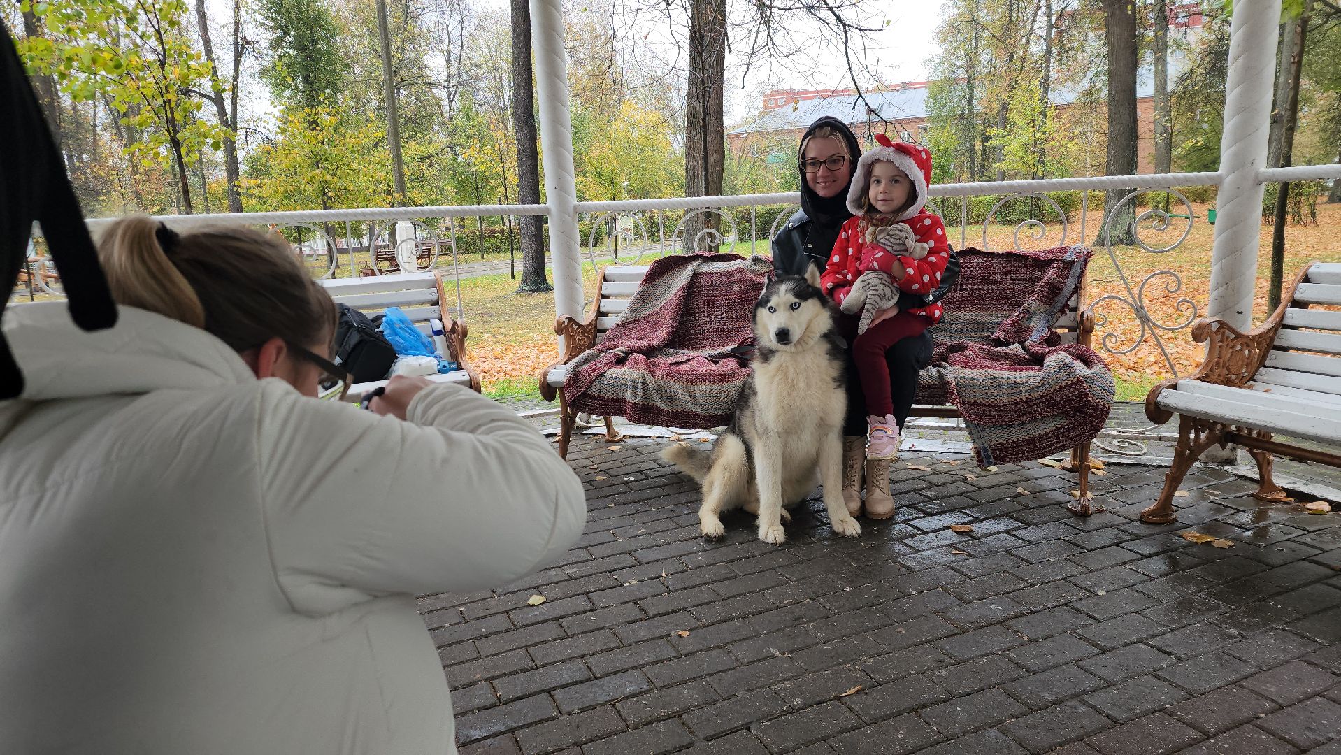 павловский посад, городской округ павловский посад, спецоперация, люди, собаки, приют, благотворительность,