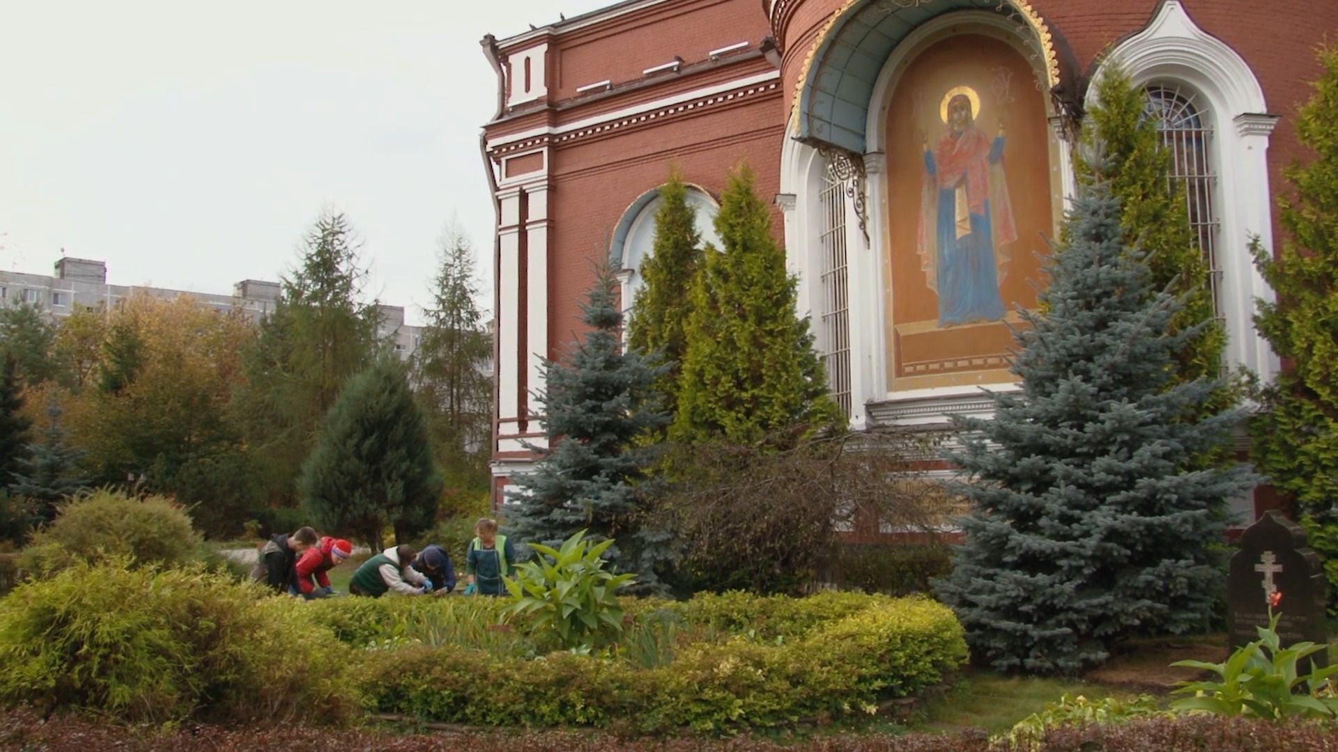 образование, инвалиды, садовник, колледж, СПО, орехово-зуево,