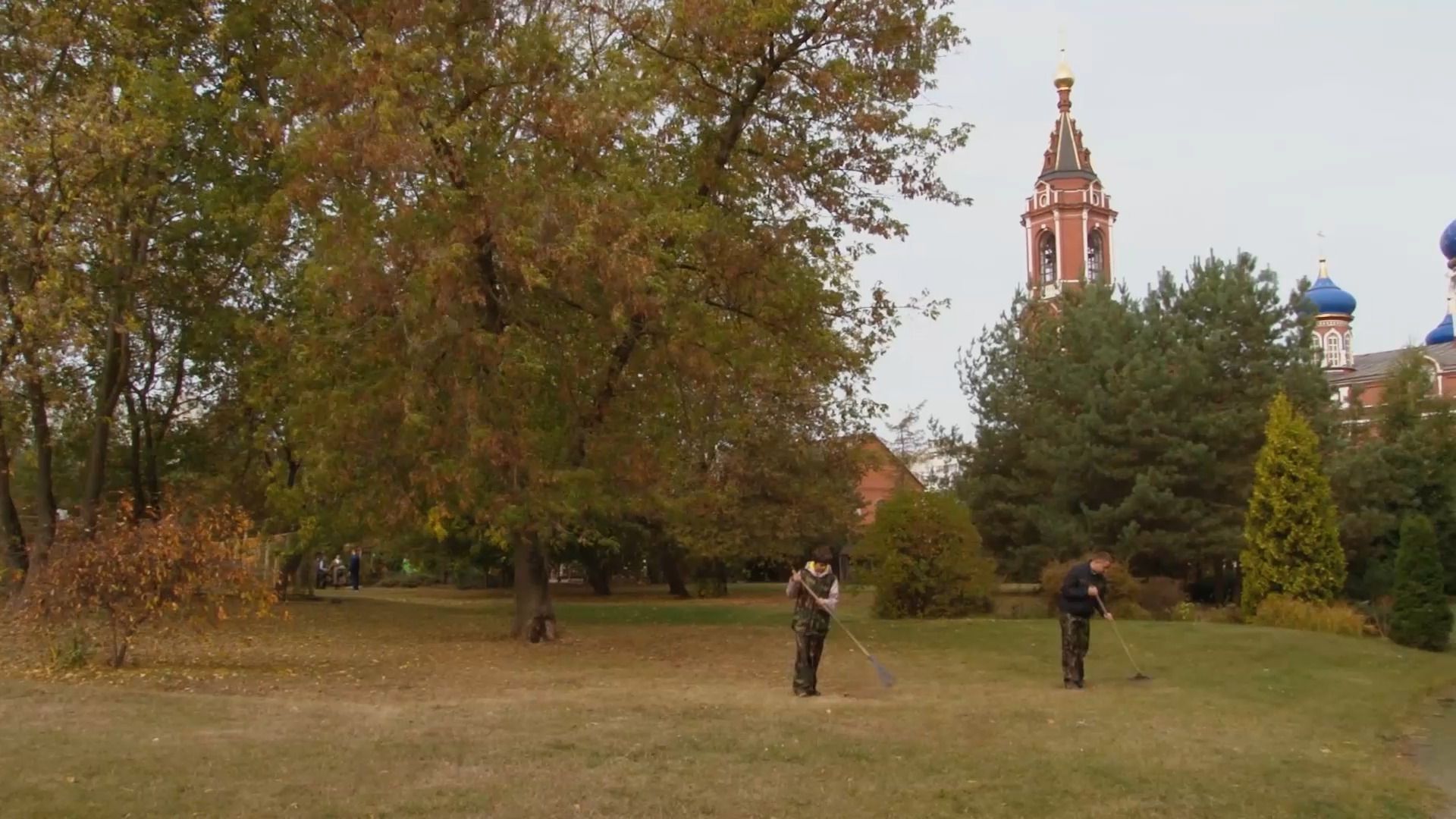 образование, инвалиды, садовник, колледж, СПО, орехово-зуево,