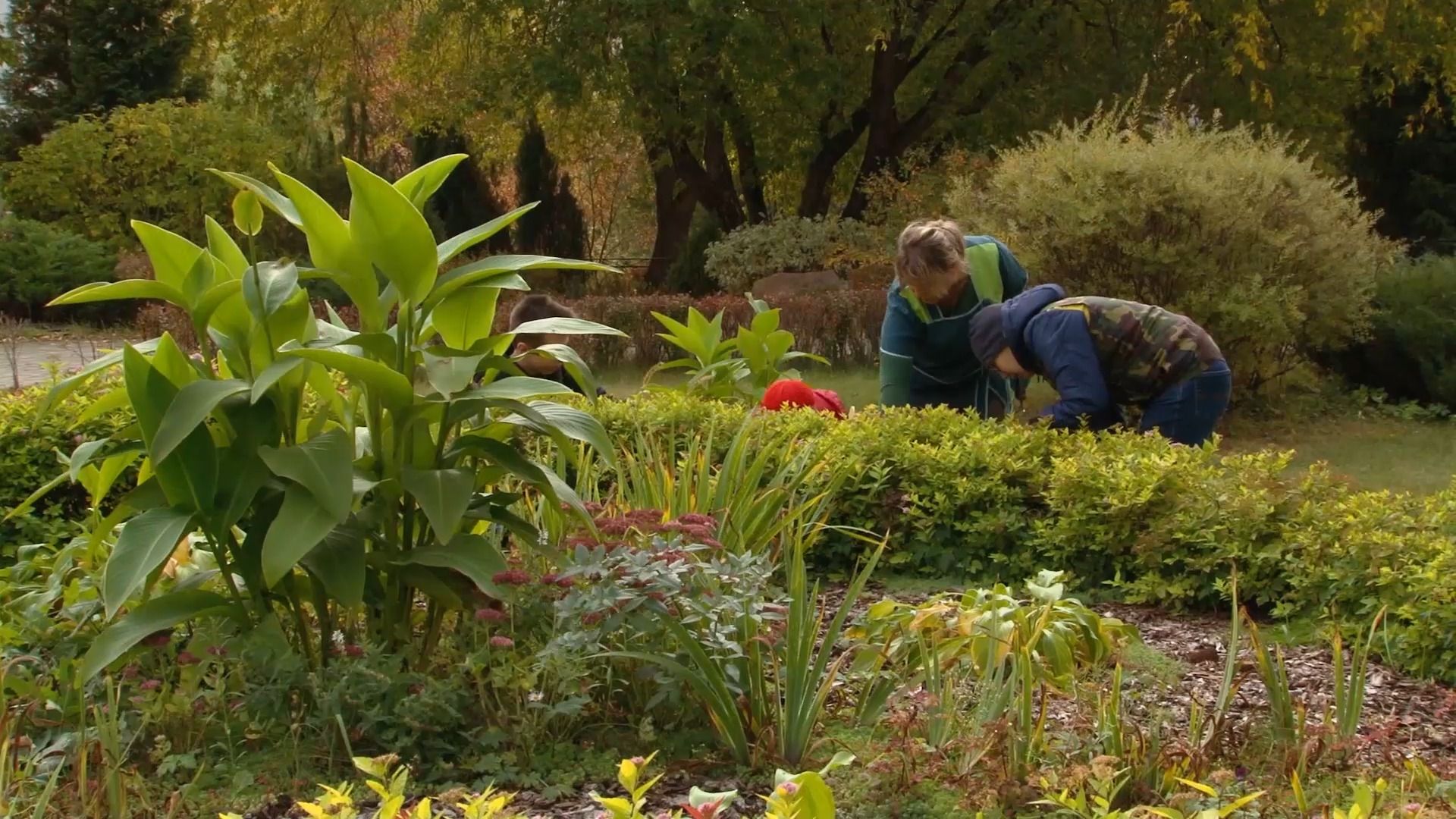 образование, инвалиды, садовник, колледж, СПО, орехово-зуево,