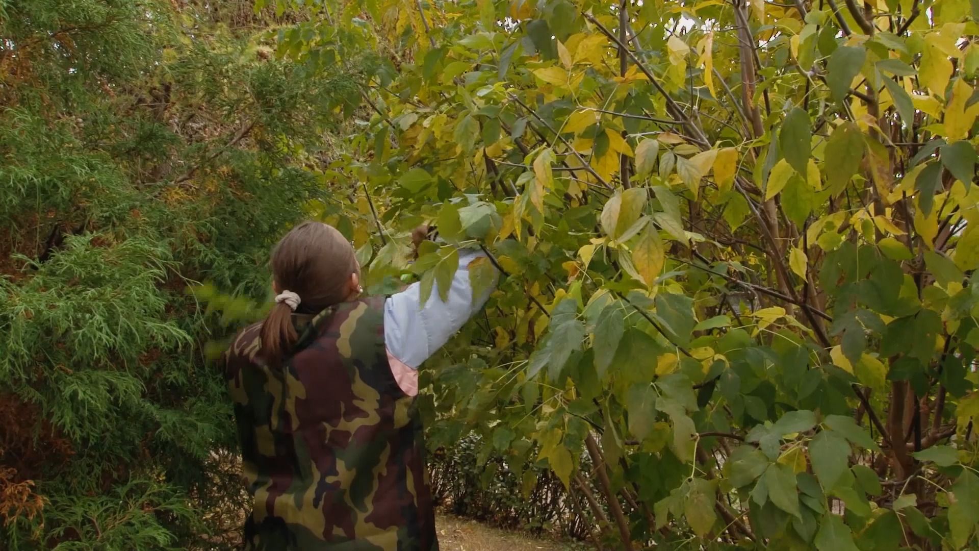 образование, инвалиды, садовник, колледж, СПО, орехово-зуево,