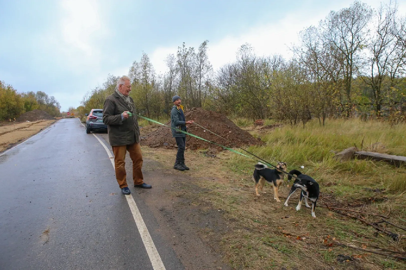 химки, бездомные животные, мгер, приют для животных,