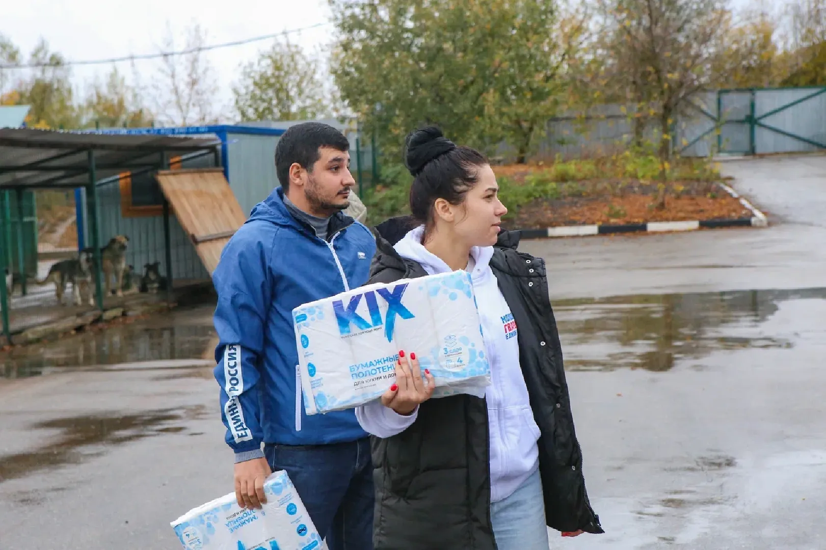 химки, бездомные животные, мгер, приют для животных,