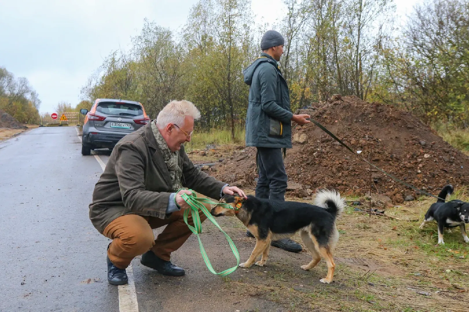 химки, бездомные животные, мгер, приют для животных,