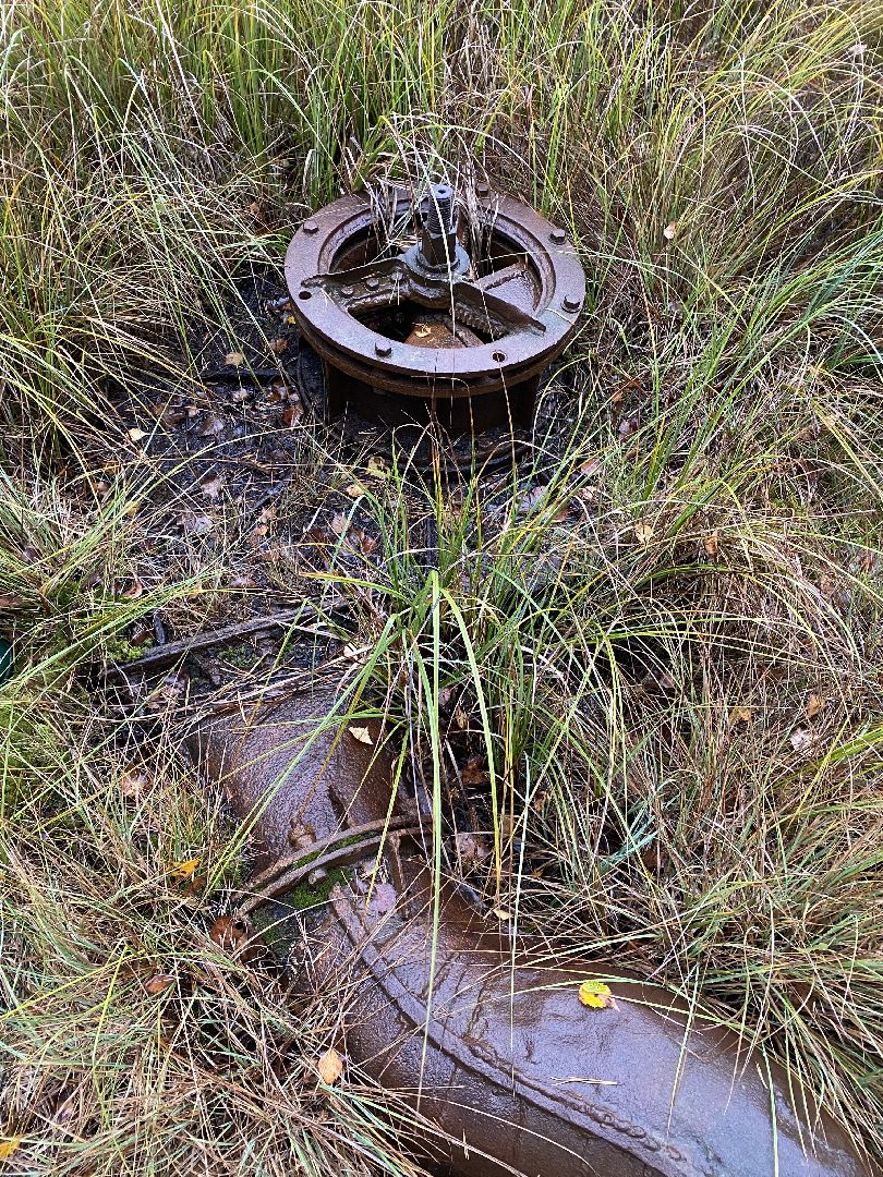 волоколамск, шитьково, болота, озеро, торфянники, легенды, миф, сказки, лес, лесное озеро,