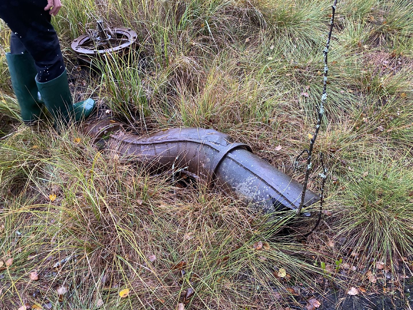 волоколамск, шитьково, болота, озеро, торфянники, легенды, миф, сказки, лес, лесное озеро,