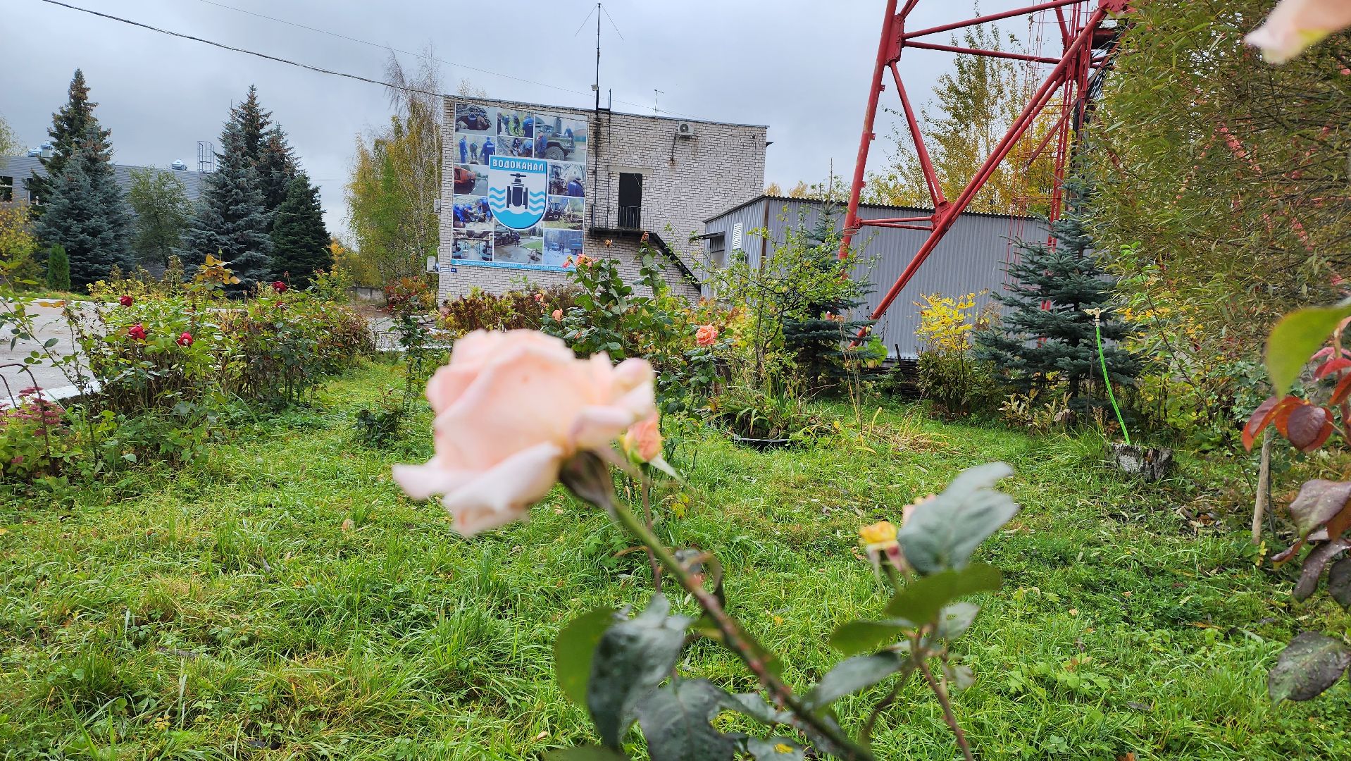подмгсковье, Городской округ Пушкинский, Ивантеевка, модернизация, благоустройство,