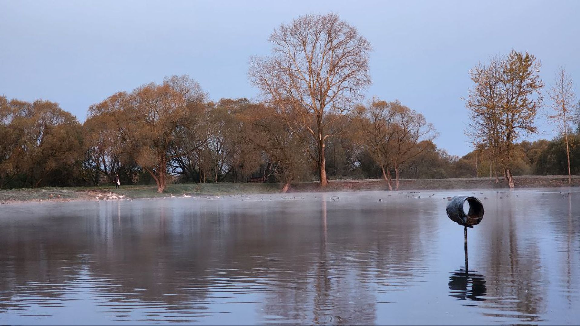 Дмитров, Орудьево, Соревнование подсадных уток,