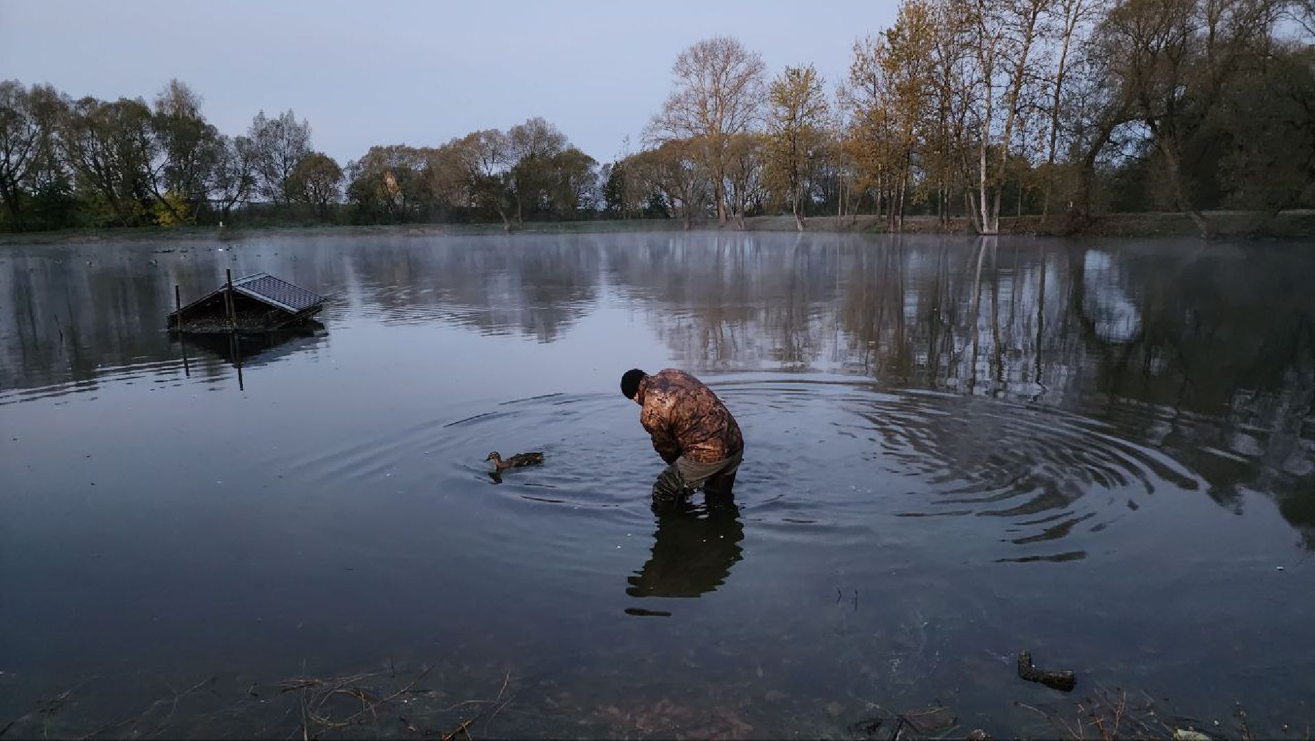 Дмитров, Орудьево, Соревнование подсадных уток,