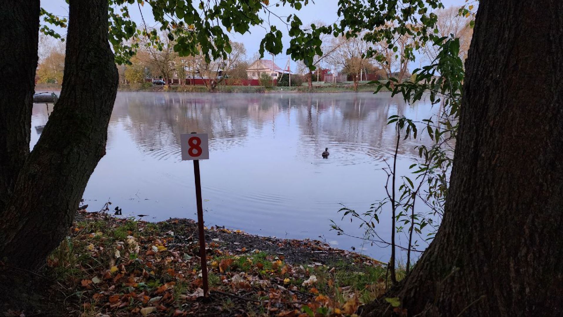Дмитров, Орудьево, Соревнование подсадных уток,