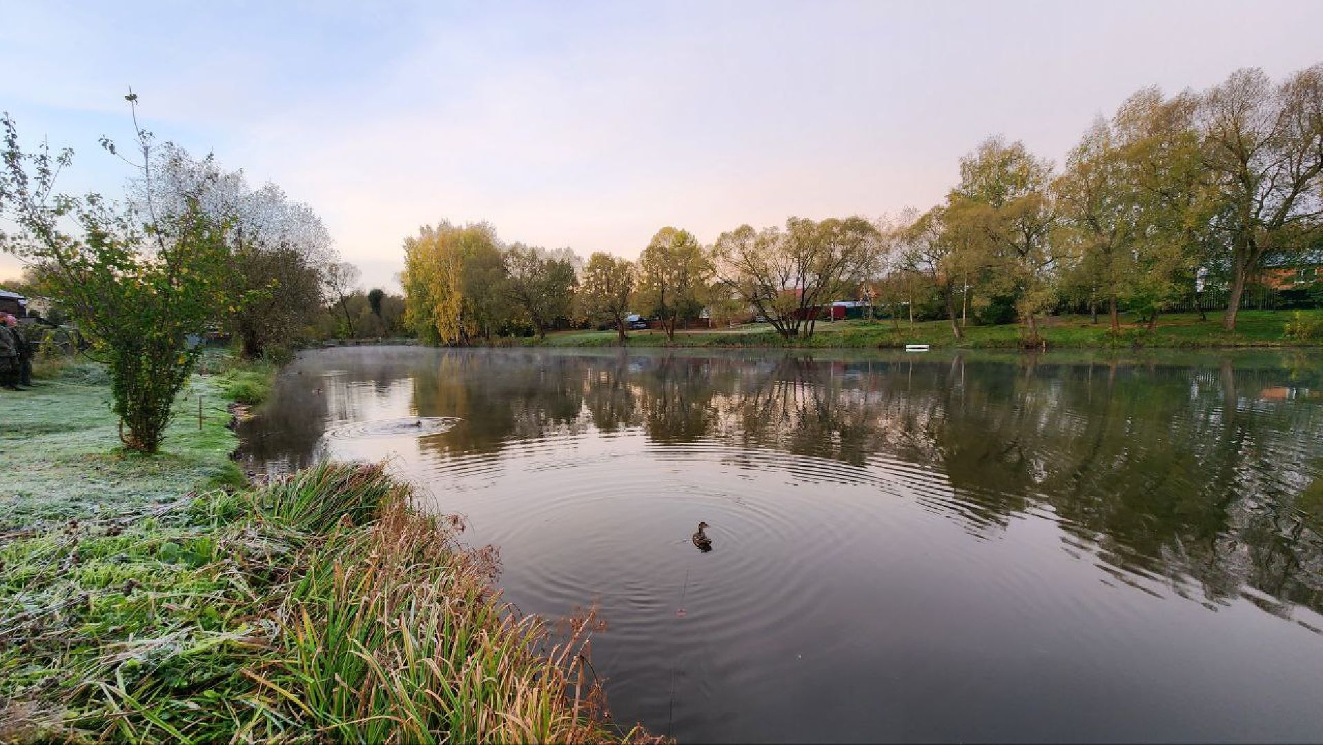Дмитров, Орудьево, Соревнование подсадных уток,
