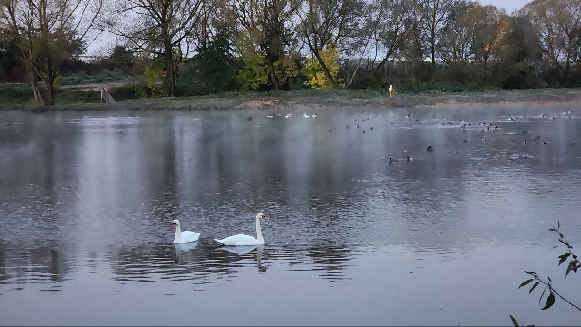 Дмитров, Орудьево, Соревнование подсадных уток,