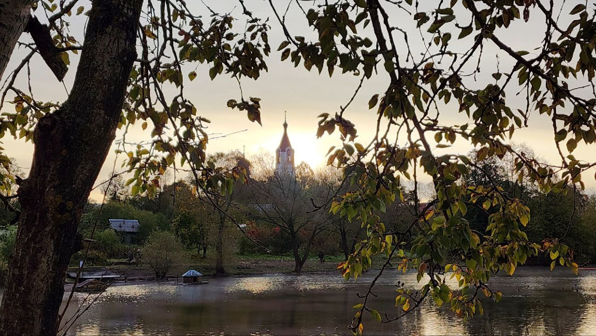 Дмитров, Орудьево, Соревнование подсадных уток,