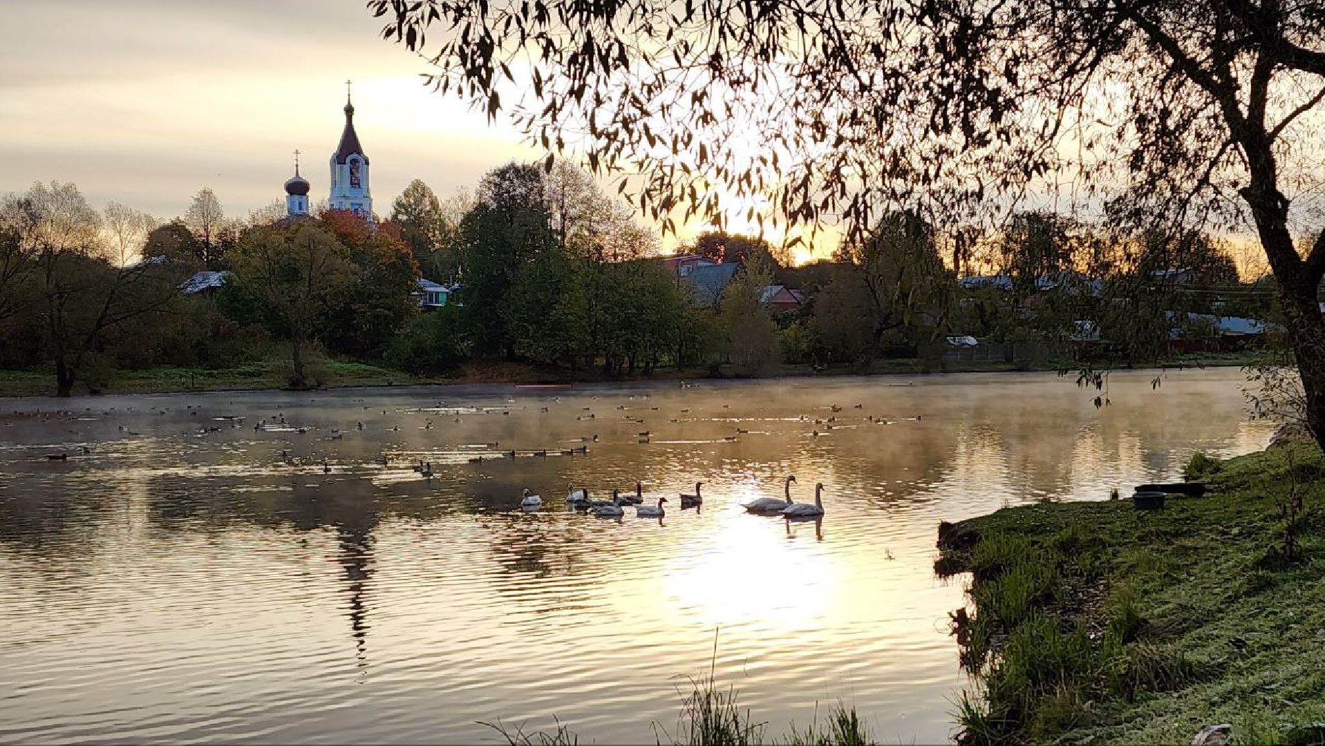Дмитров, Орудьево, Соревнование подсадных уток,