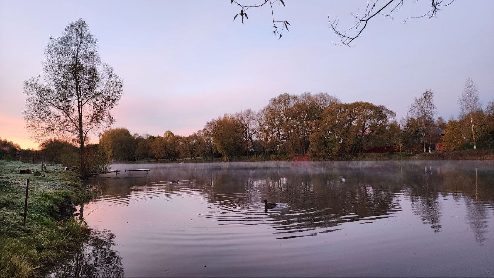 Дмитров, Орудьево, Соревнование подсадных уток,