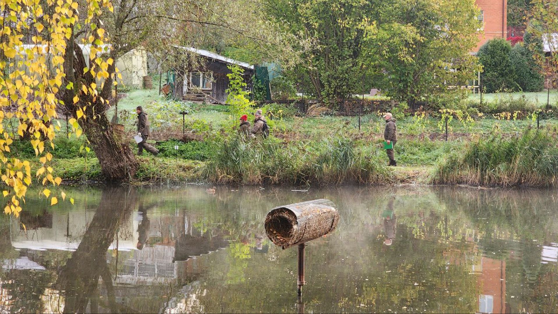 Дмитров, Орудьево, Соревнование подсадных уток,