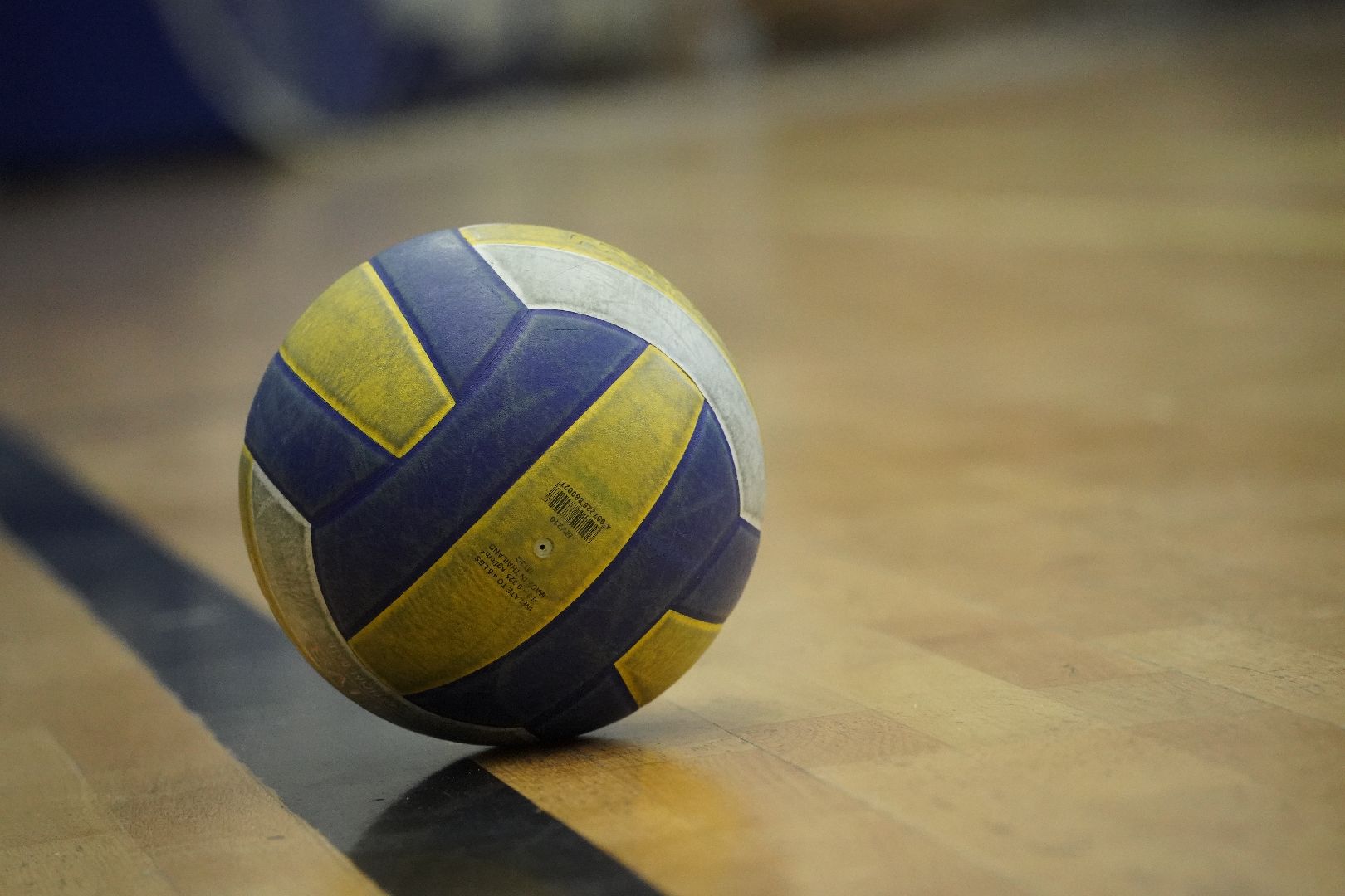 Рошаль, волейбол, турнир, спорт,