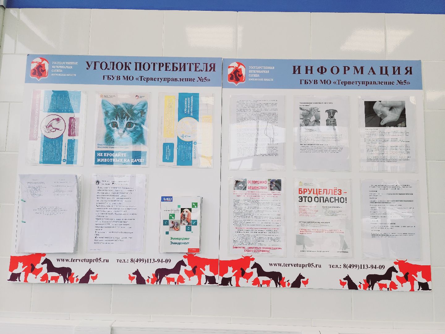 Подольск, ветлечебница, домашние животные, мкр Кузнечики,