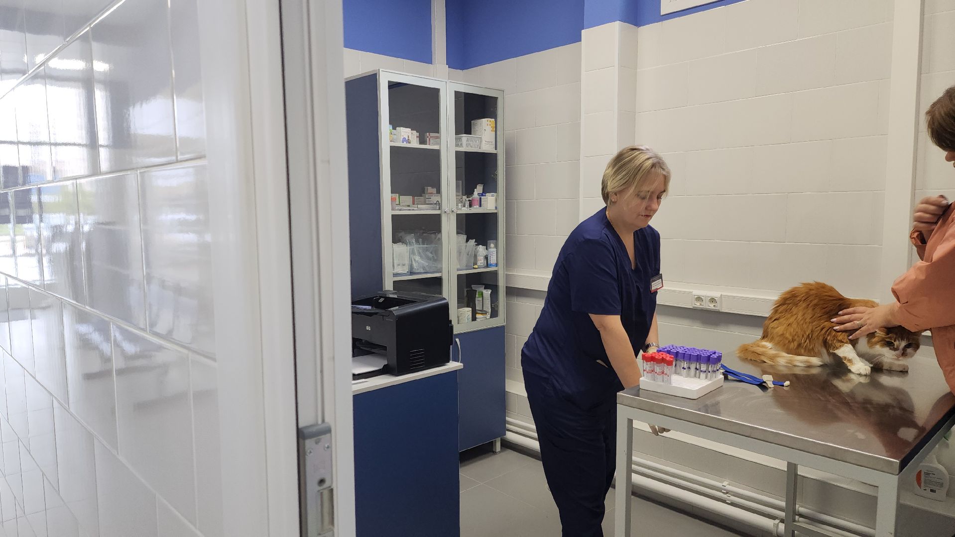 Подольск, ветлечебница, домашние животные, мкр Кузнечики,