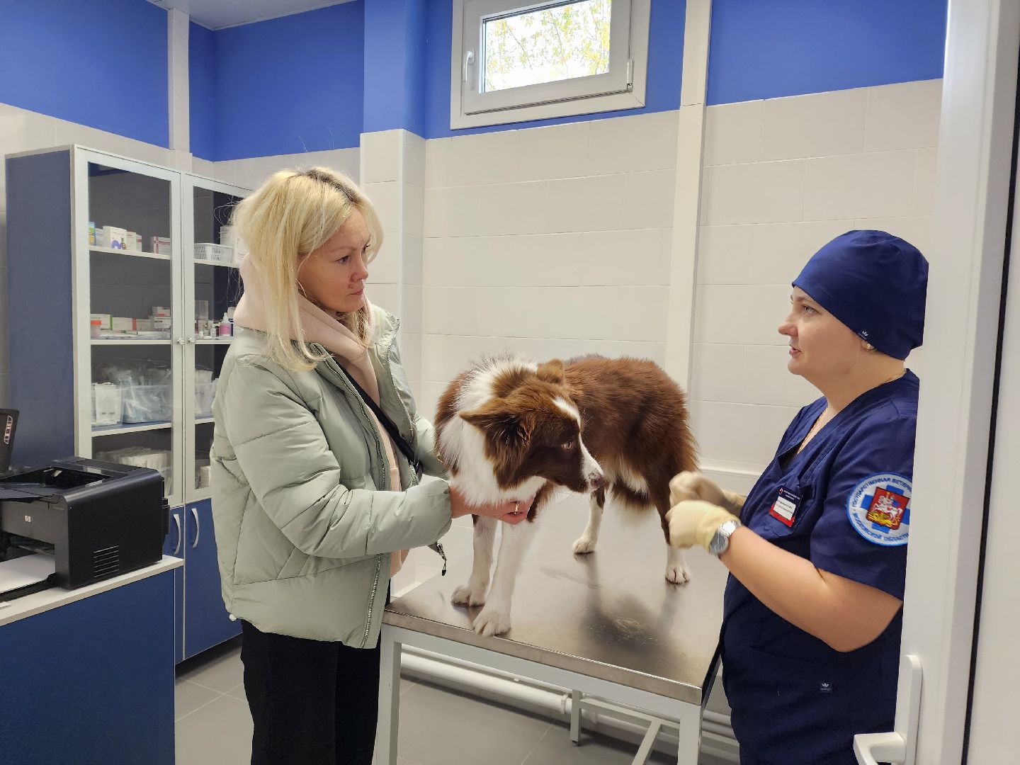 Подольск, ветлечебница, домашние животные, мкр Кузнечики,