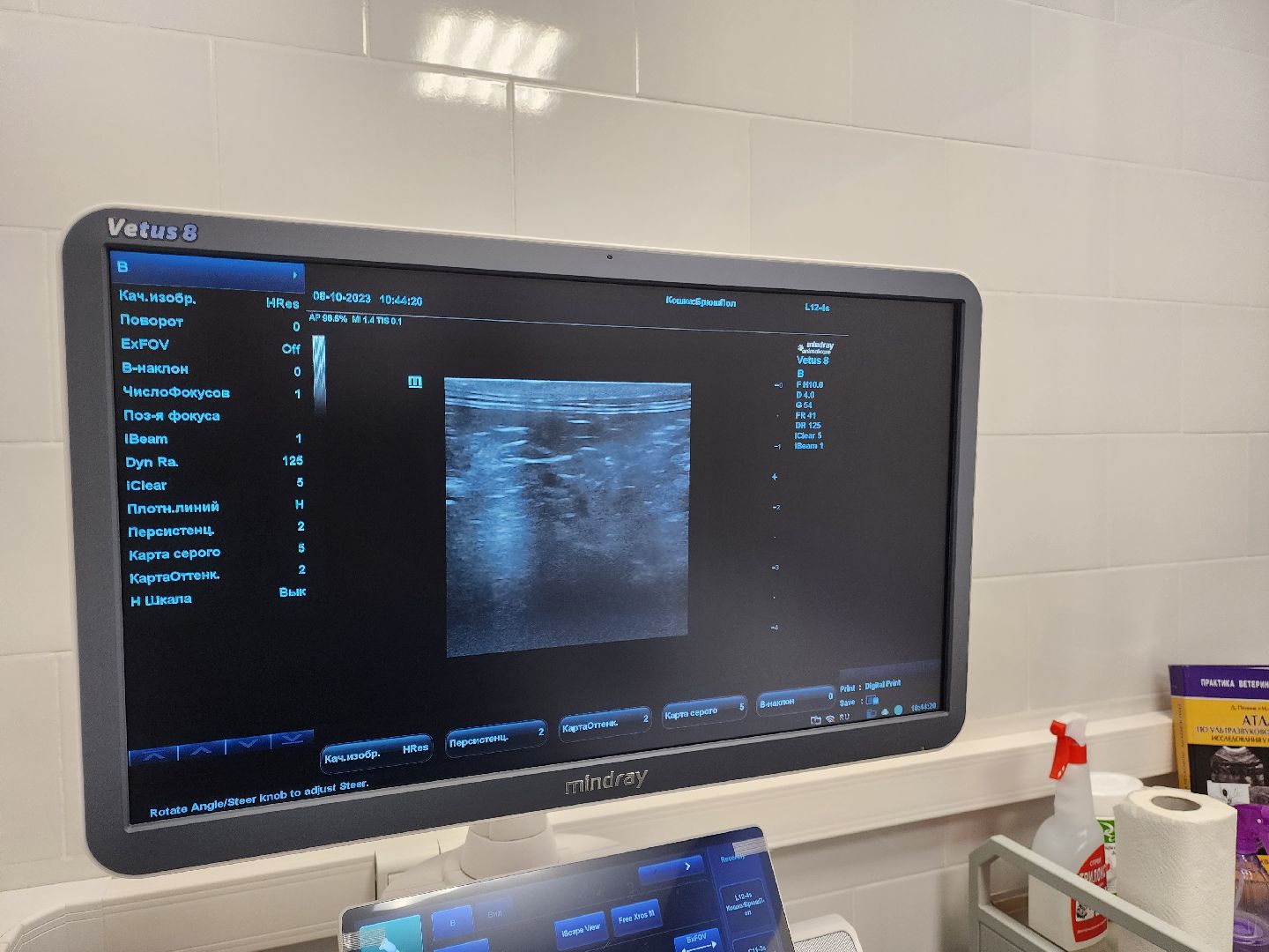 Подольск, ветлечебница, домашние животные, мкр Кузнечики,