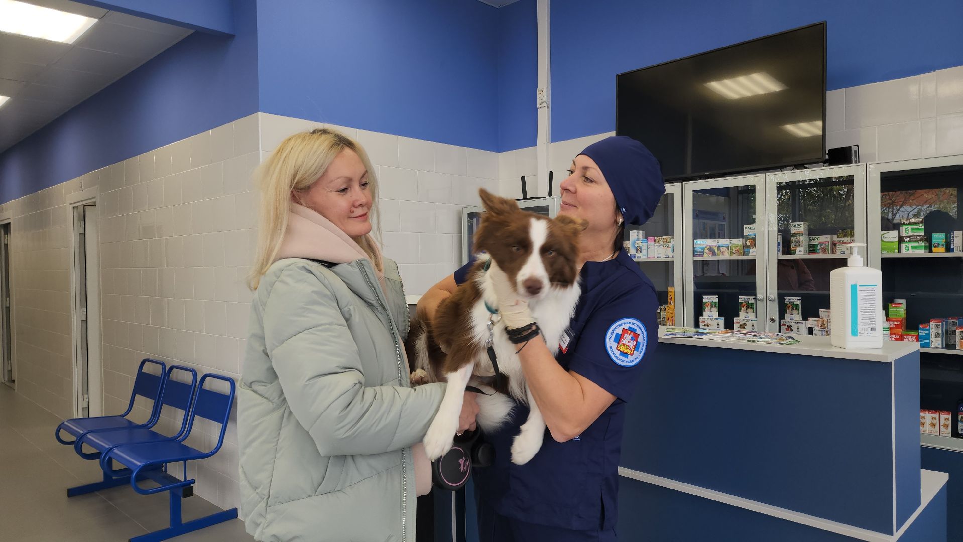 Подольск, ветлечебница, домашние животные, мкр Кузнечики,