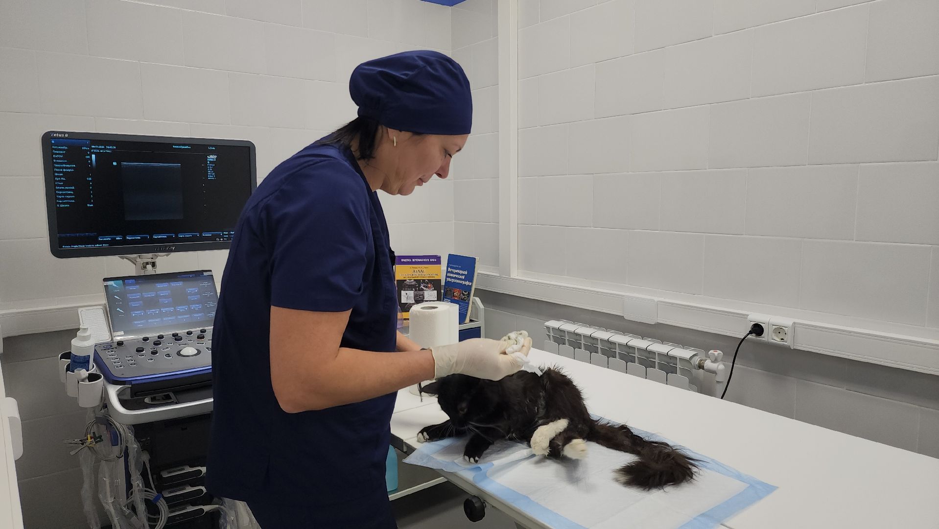 Подольск, ветлечебница, домашние животные, мкр Кузнечики,