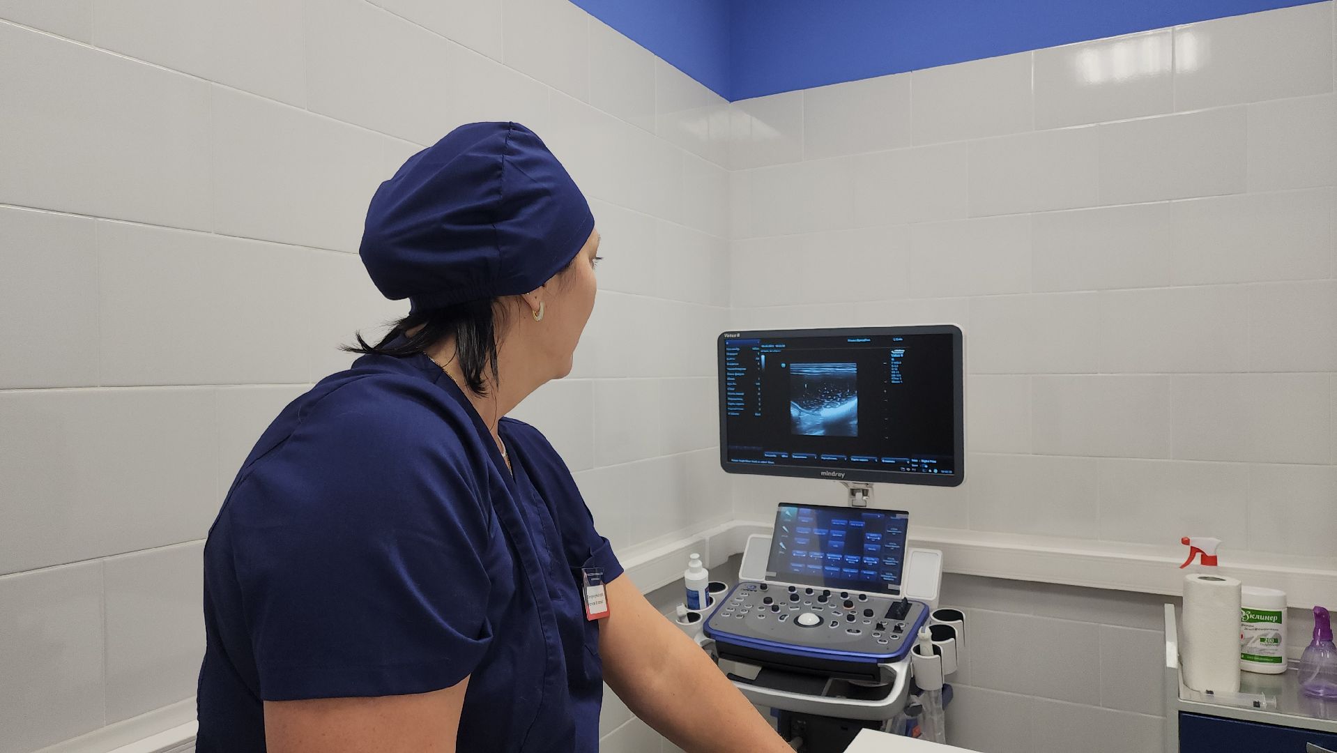 Подольск, ветлечебница, домашние животные, мкр Кузнечики,