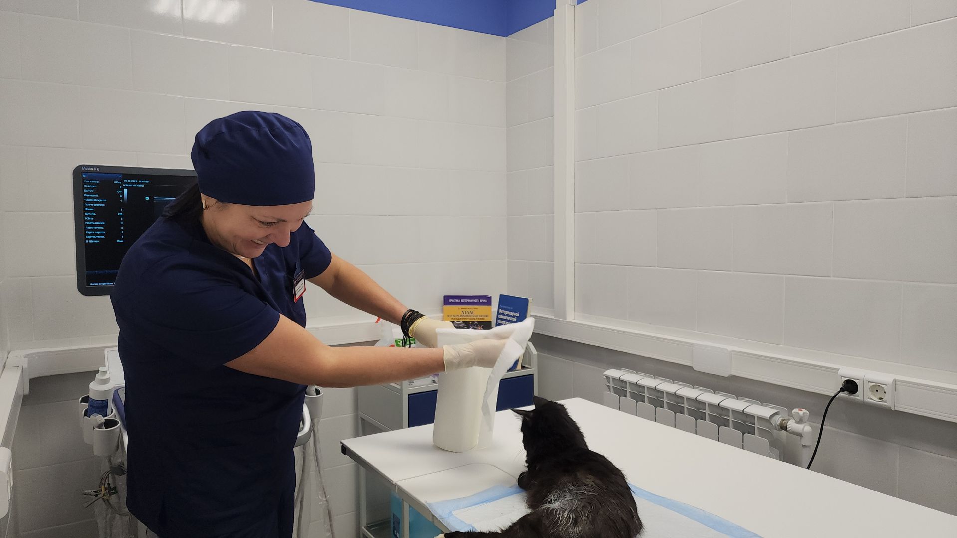 Подольск, ветлечебница, домашние животные, мкр Кузнечики,