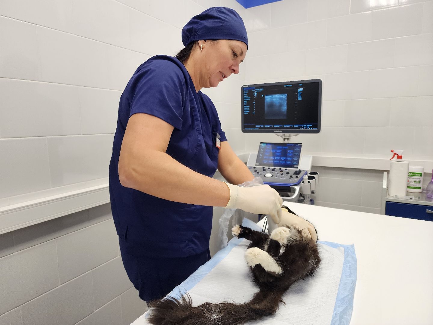 Подольск, ветлечебница, домашние животные, мкр Кузнечики,