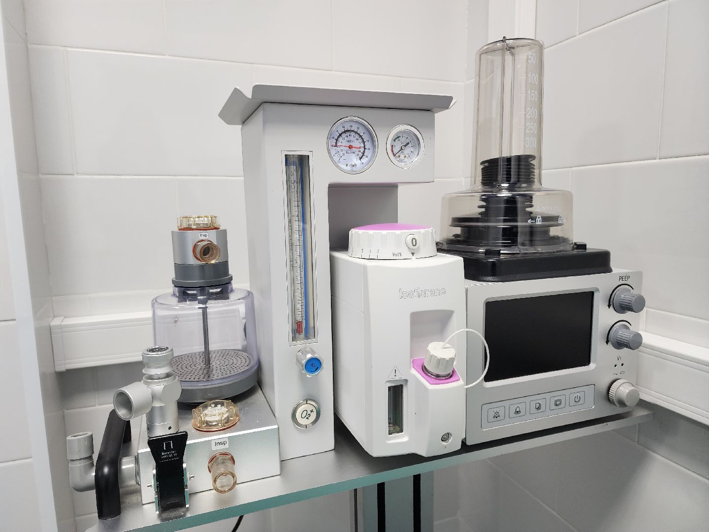 Подольск, ветлечебница, домашние животные, мкр Кузнечики,