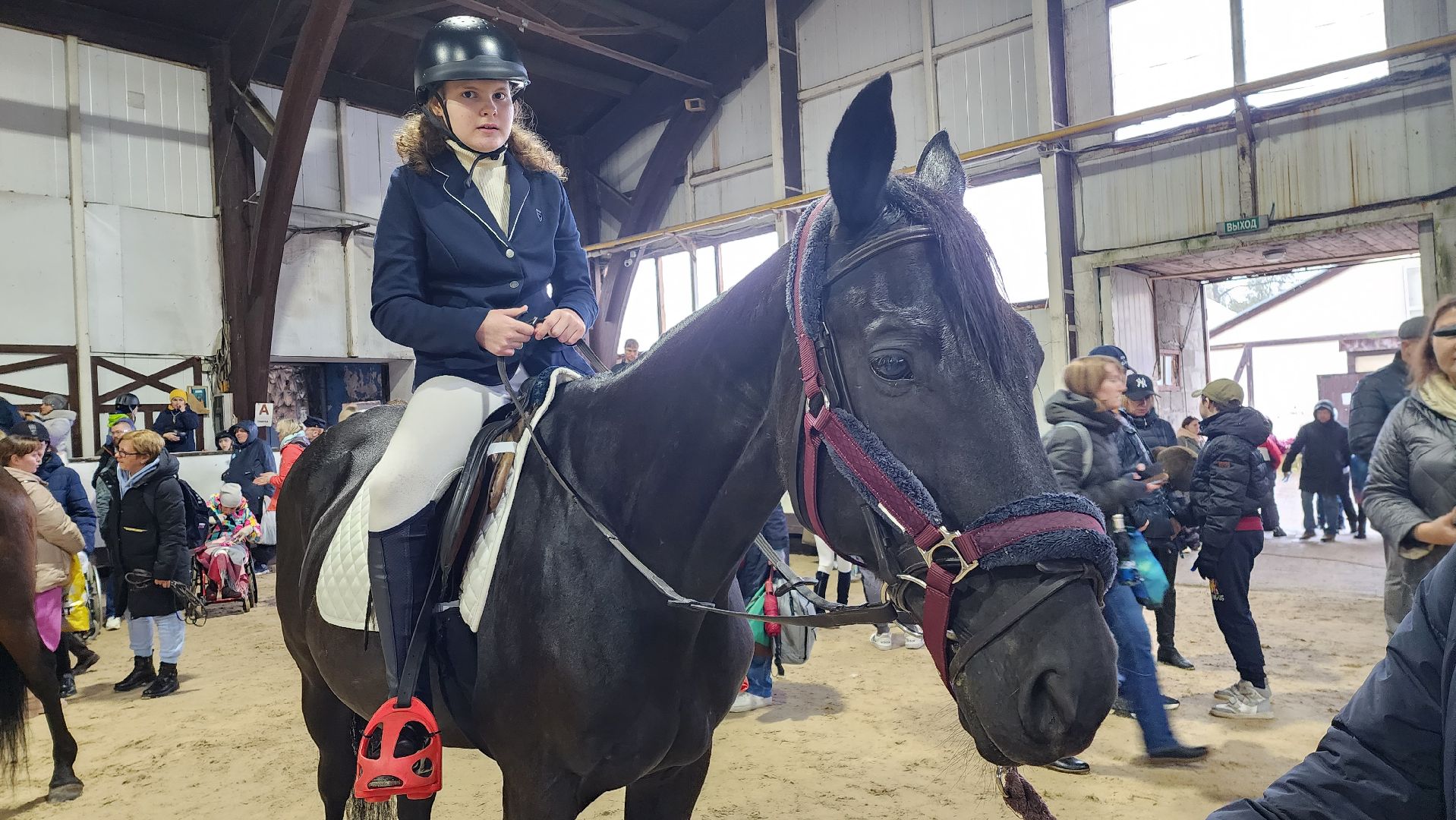 фестиваль, Золотая осень, конный спорт, дети ОВЗ,