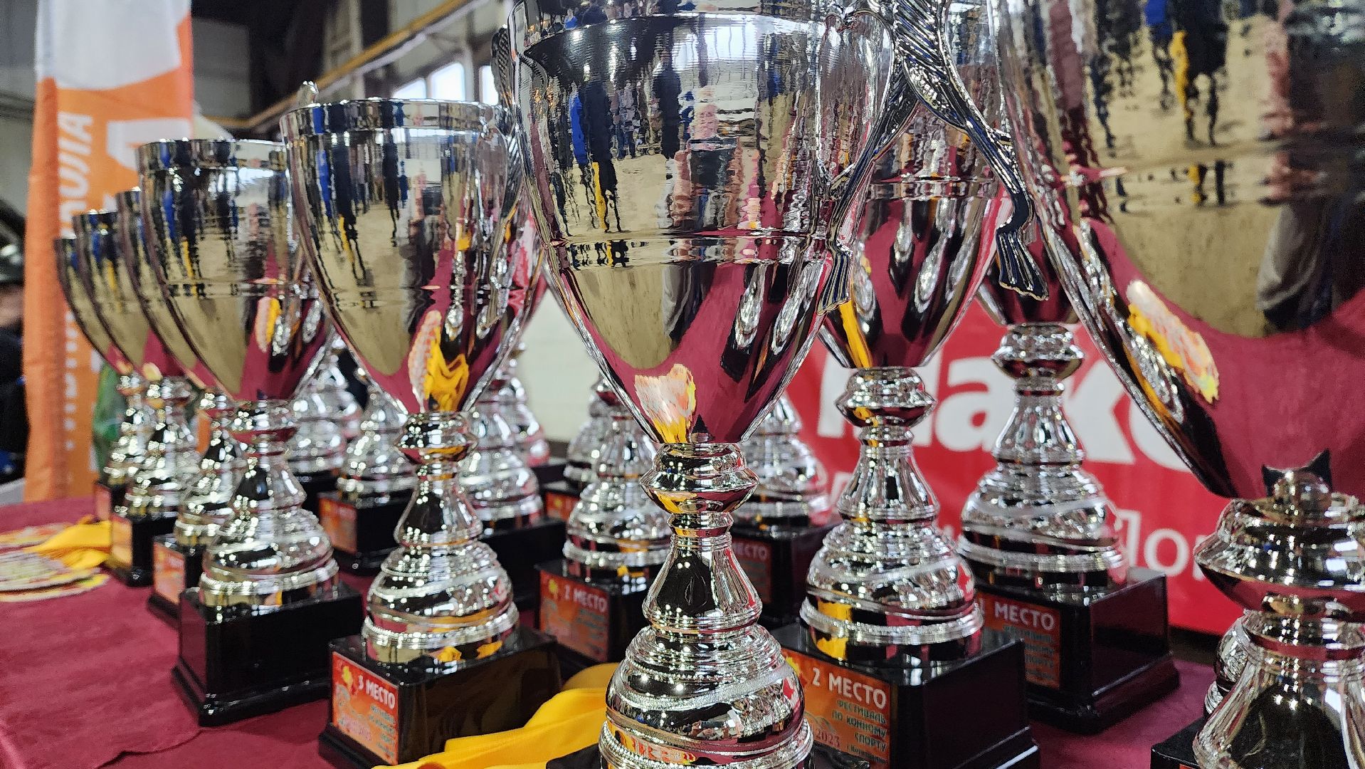 фестиваль, Золотая осень, конный спорт, дети ОВЗ,