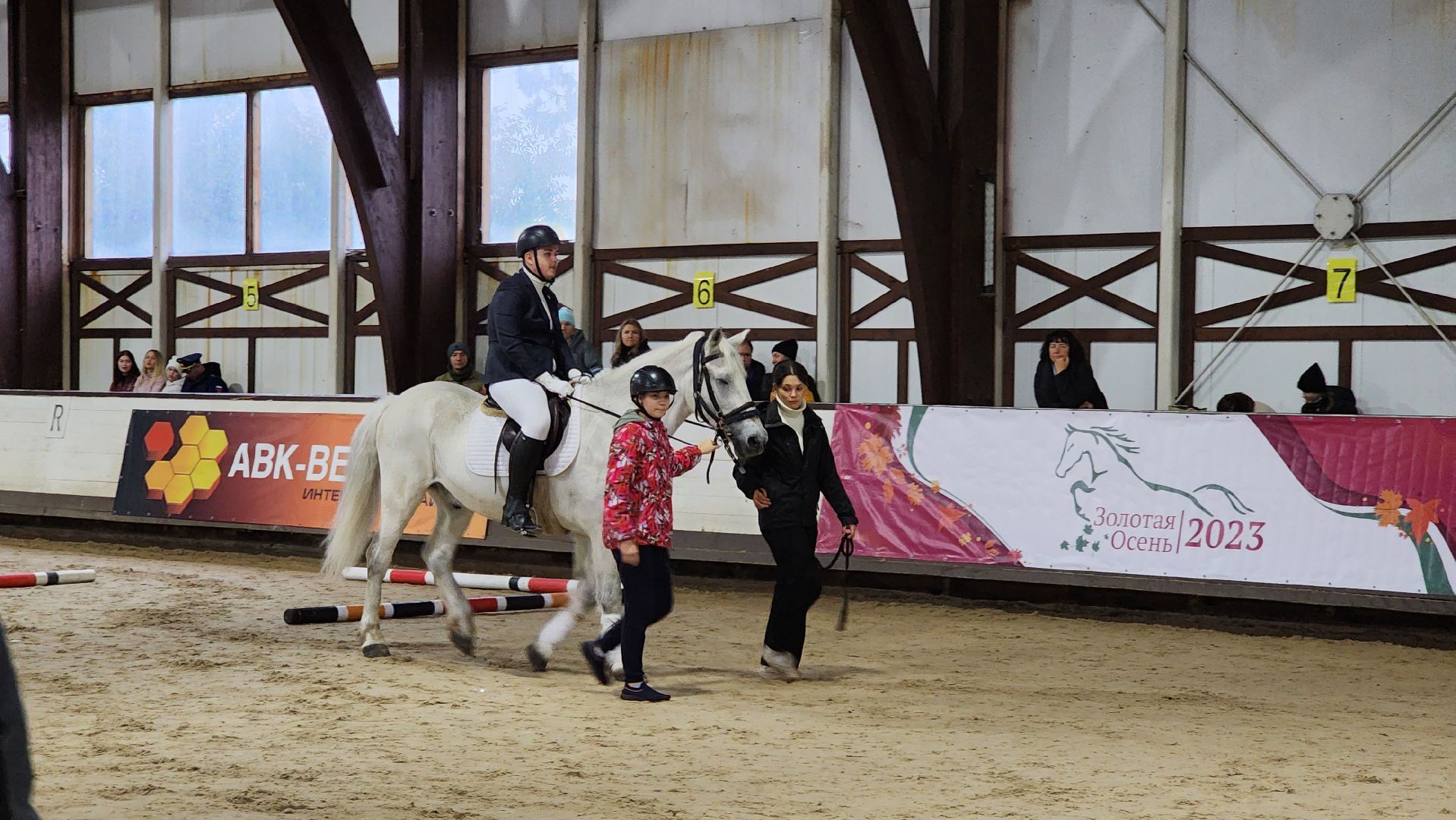 фестиваль, Золотая осень, конный спорт, дети ОВЗ,