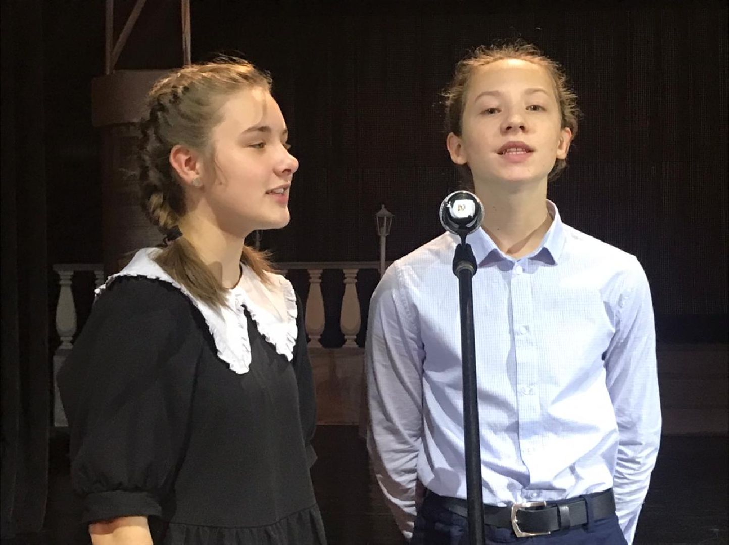 чехов, подмосковье, театр, культура, искусство, спектакль,