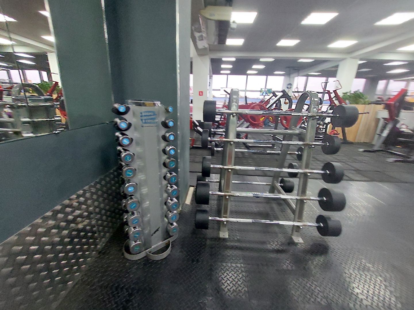 спорт, спорт подмосковья, Бодибилдинг, чехов, спортивное подмосковье, чемпионат россии,