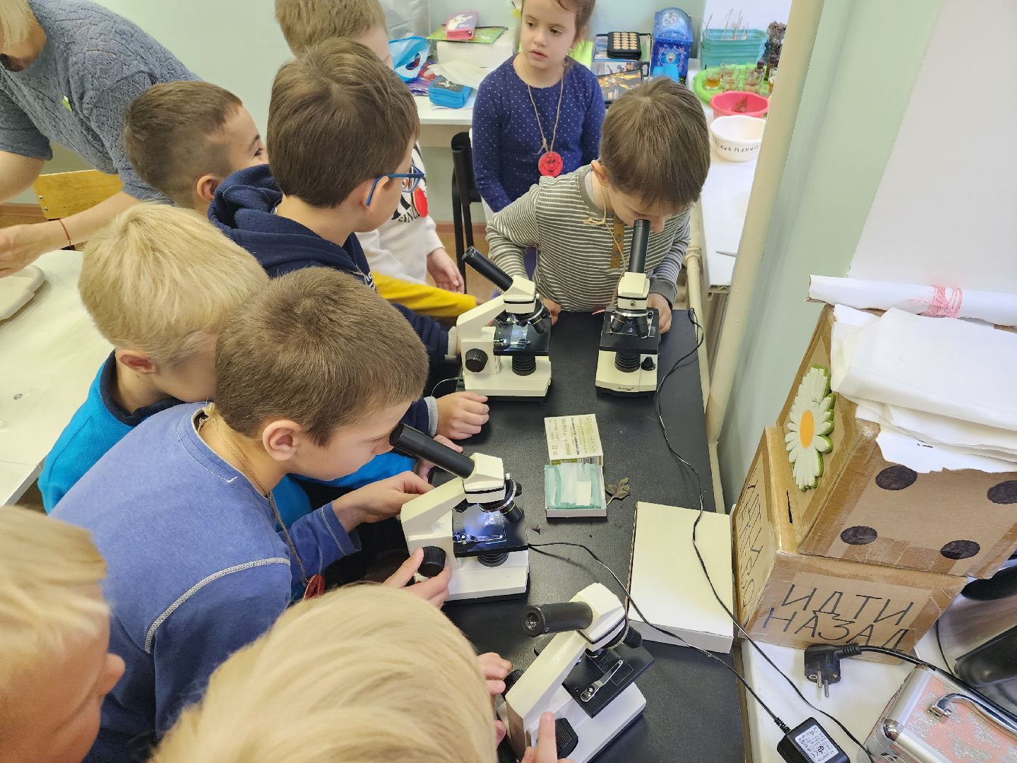 Ступино, дэц островок, техноосень,