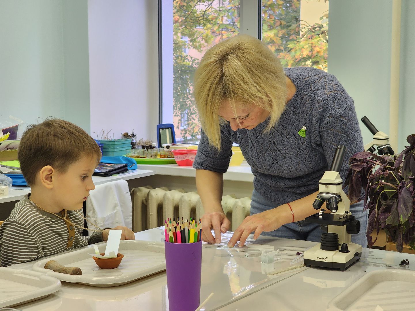 Ступино, дэц островок, техноосень,