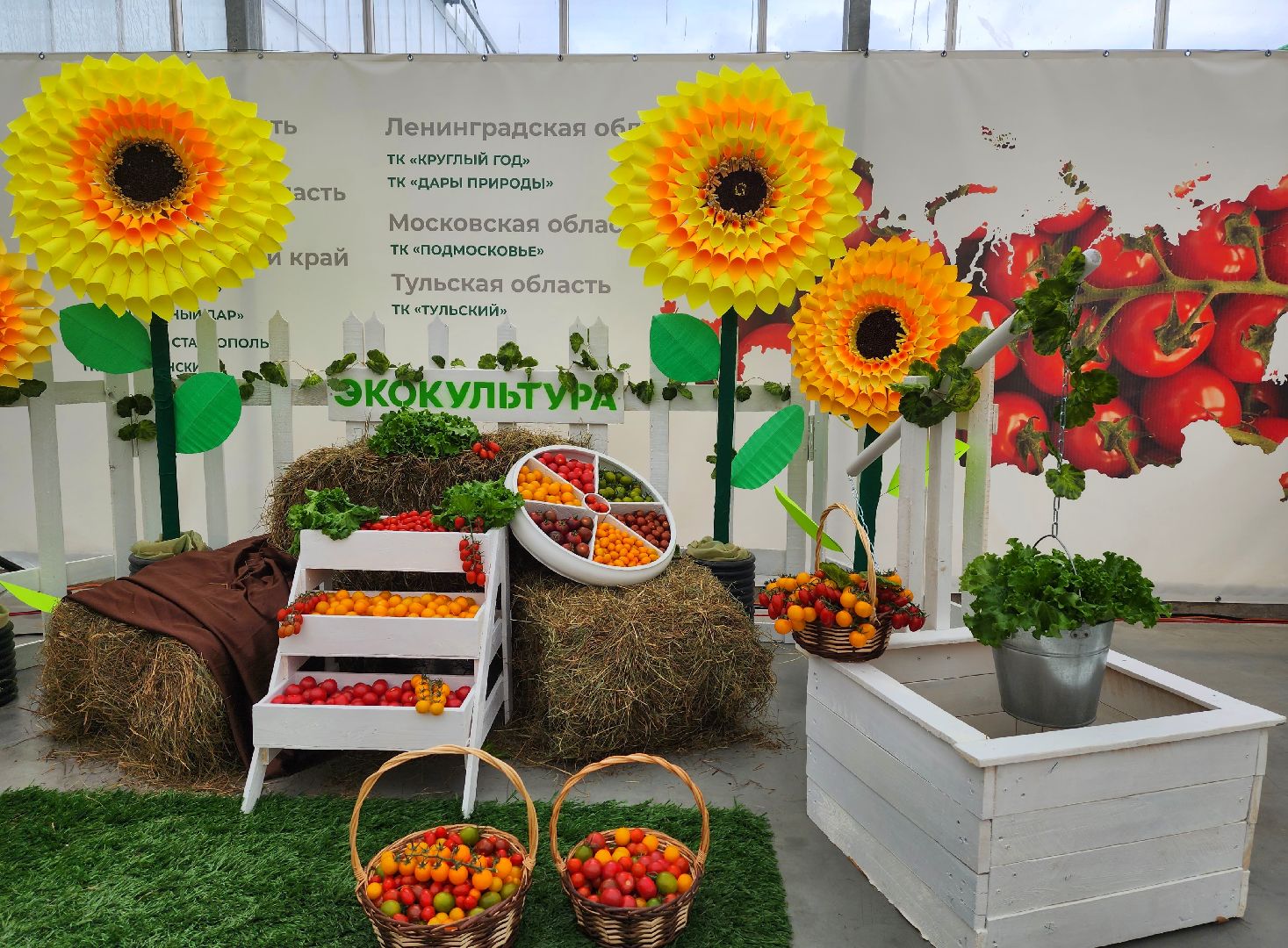 экономика, тепличный комплекс, воскресенск, овощи, продукты,