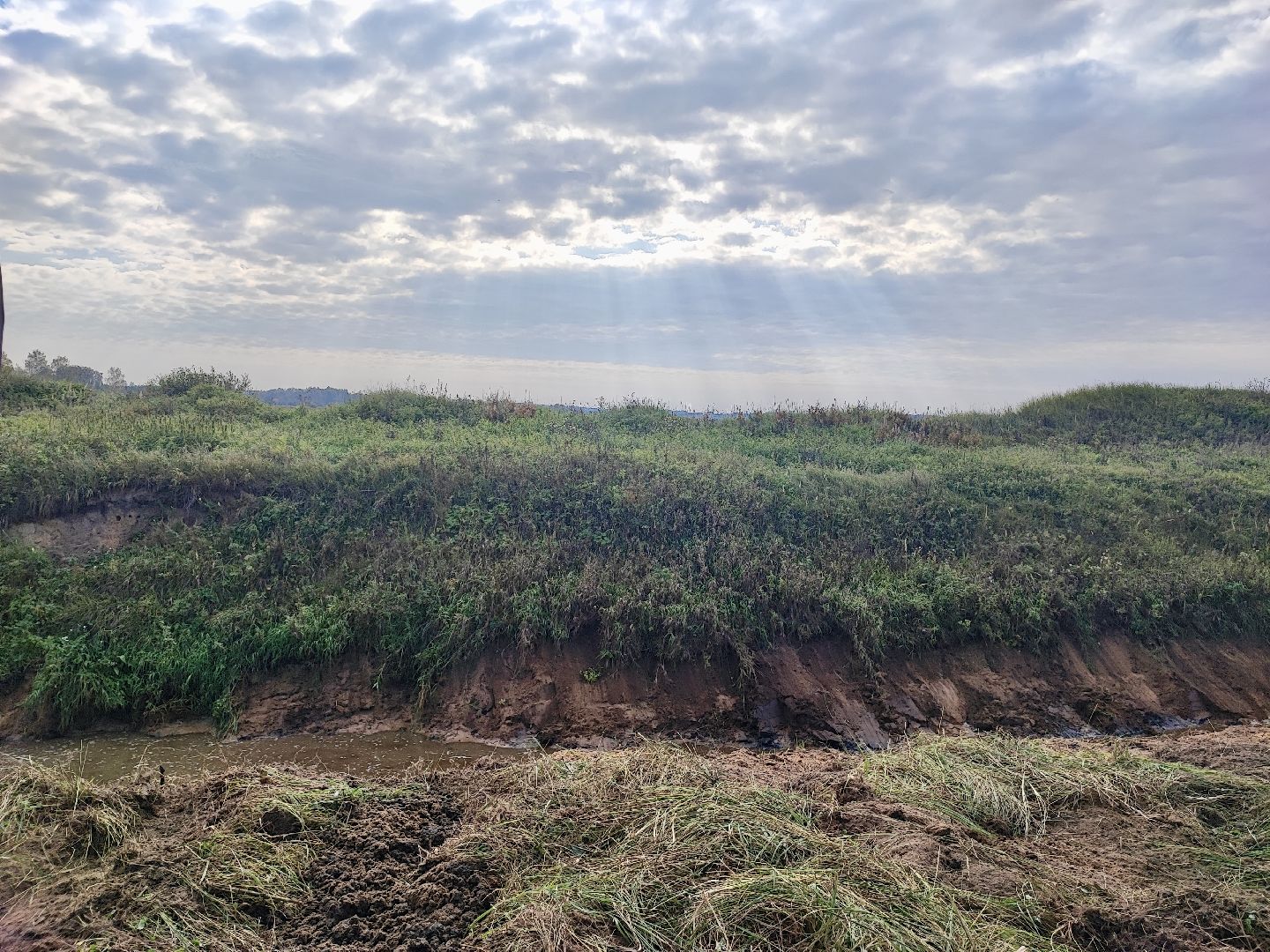 Клин, экономика, общество, сельское хозяйство,